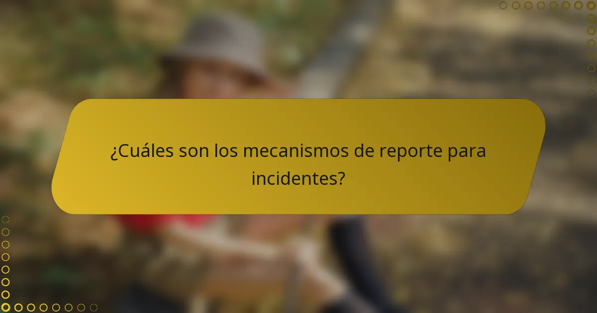 ¿Cuáles son los mecanismos de reporte para incidentes?